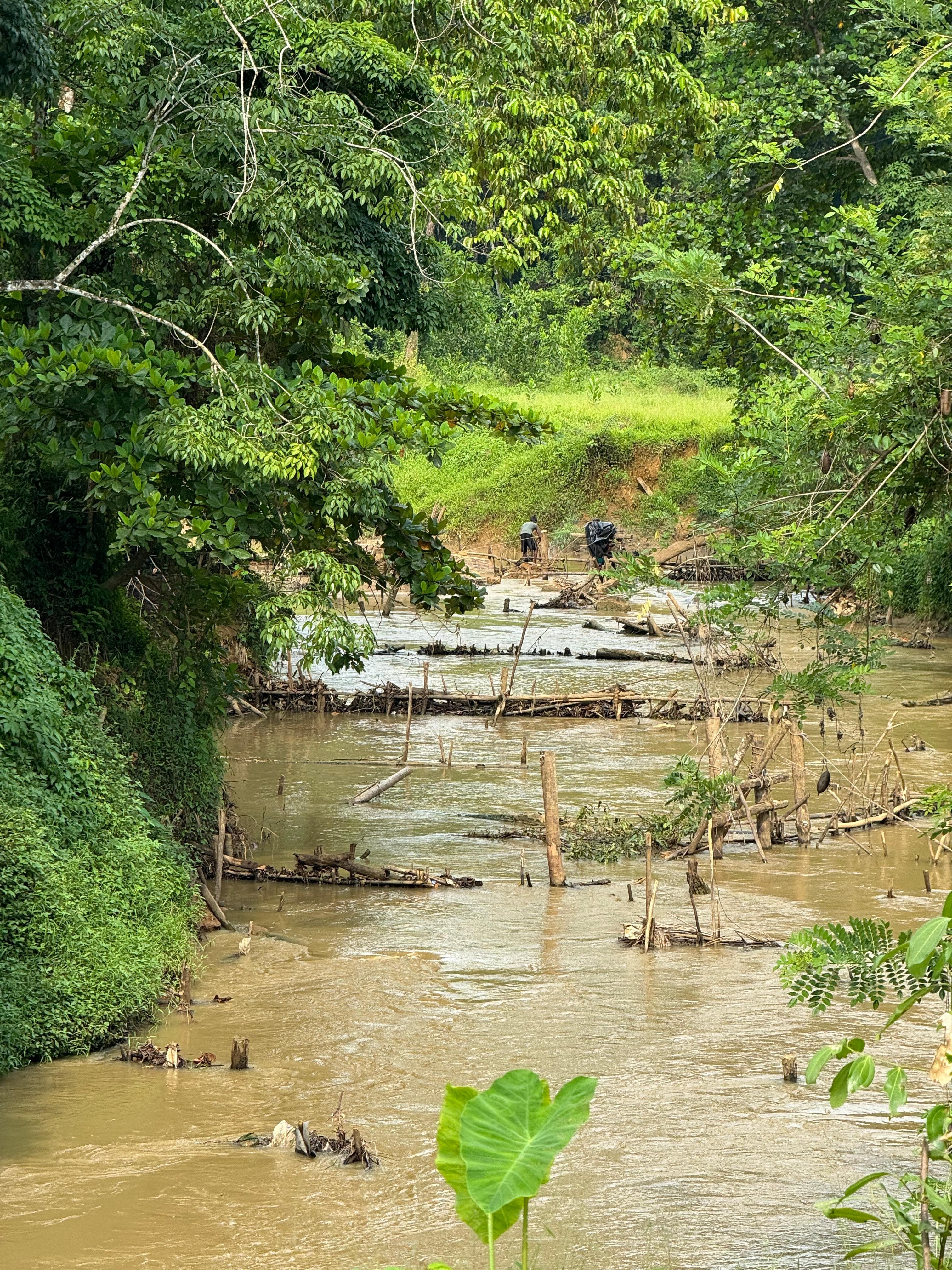 montepuez, cabo delgado — lavage des graviers rubifères