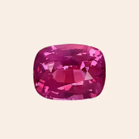 Saphir Rose