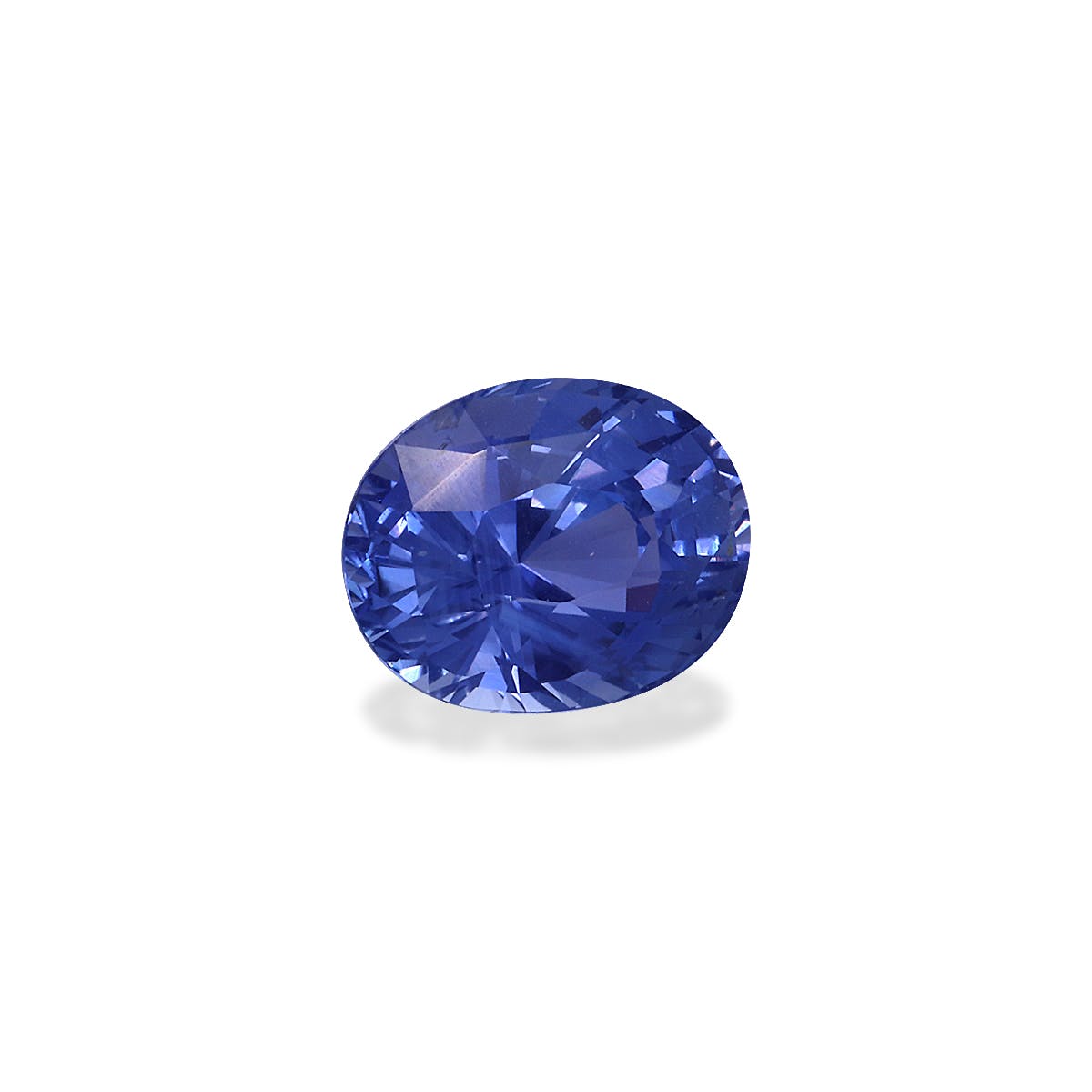 Saphir Bleu · 1.69ct