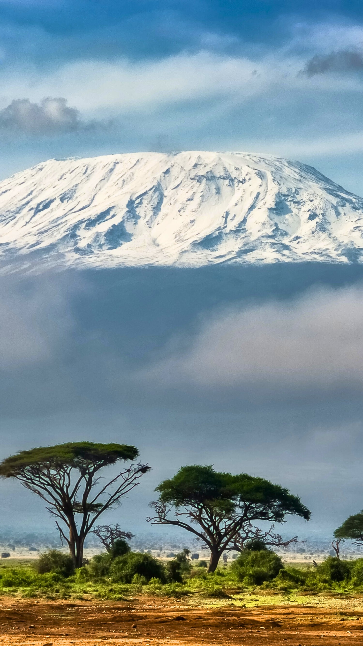 Kilimanjaro Kenya Tanzanite - Bonnot Paris