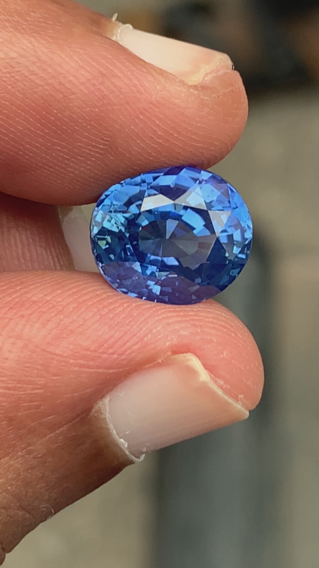 Video Saphir Bleu 7,53ct taille ovale